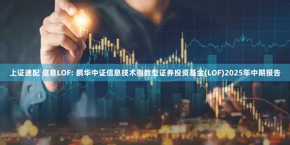 上证速配 信息LOF: 鹏华中证信息技术指数型证券投资基金(LOF)2025年中期报告